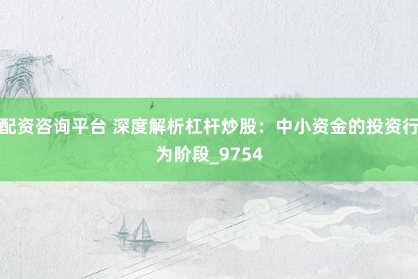 配资咨询平台 深度解析杠杆炒股：中小资金的投资行为阶段_9754