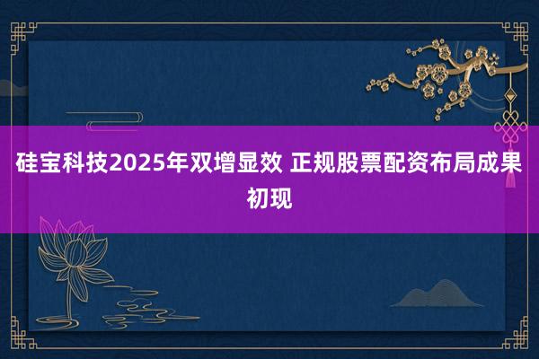 硅宝科技2025年双增显效 正规股票配资布局成果初现