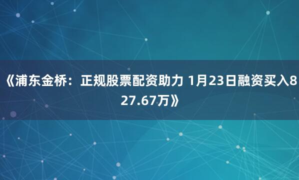 《浦东金桥：正规股票配资助力 1月23日融资买入827.67万》