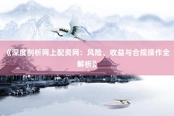 《深度剖析网上配资网：风险、收益与合规操作全解析》