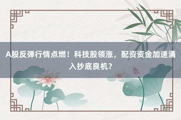 A股反弹行情点燃！科技股领涨，配资资金加速涌入抄底良机？