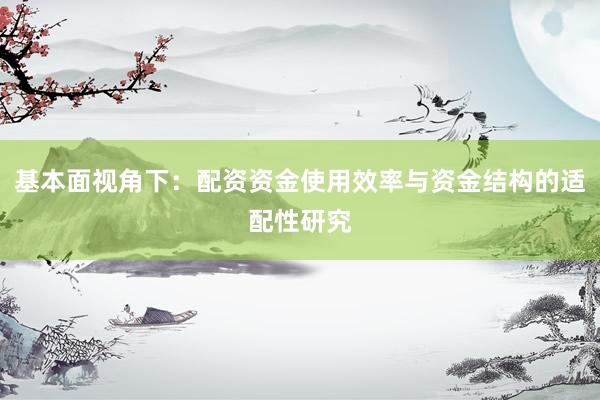 基本面视角下：配资资金使用效率与资金结构的适配性研究