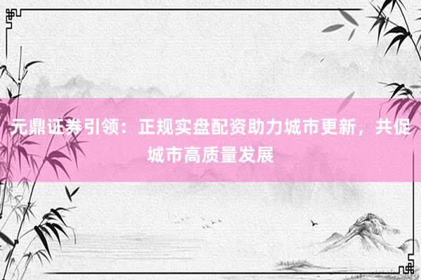 元鼎证券引领：正规实盘配资助力城市更新，共促城市高质量发展