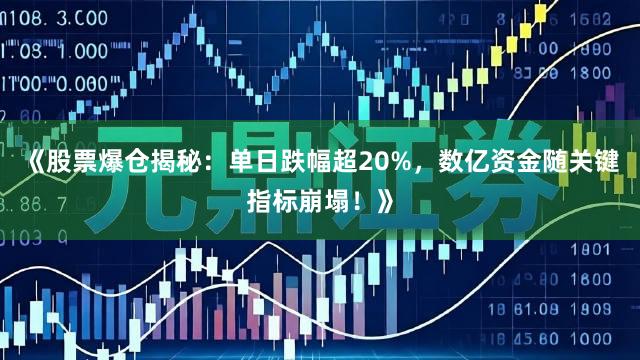《股票爆仓揭秘：单日跌幅超20%，数亿资金随关键指标崩塌！》