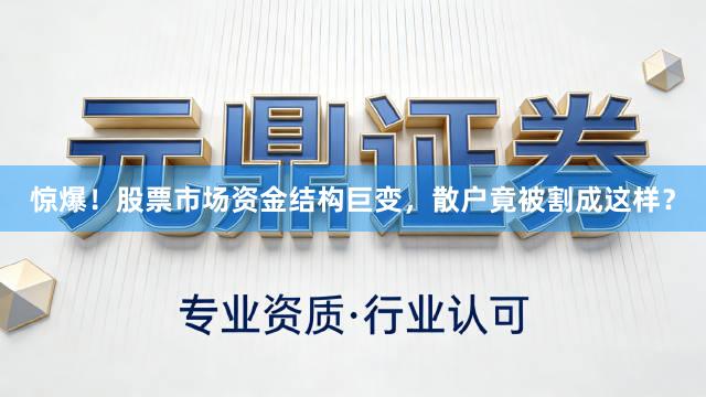 惊爆！股票市场资金结构巨变，散户竟被割成这样？