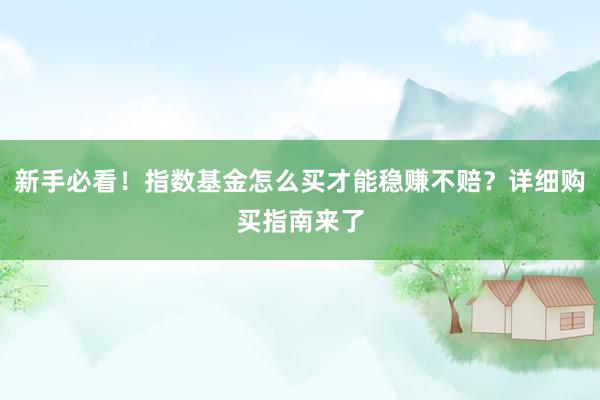 新手必看！指数基金怎么买才能稳赚不赔？详细购买指南来了