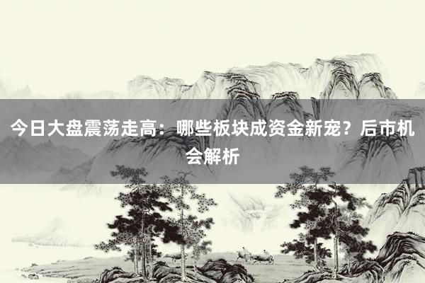 今日大盘震荡走高：哪些板块成资金新宠？后市机会解析