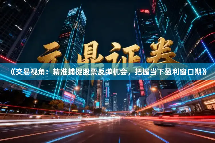 《交易视角：精准捕捉股票反弹机会，把握当下盈利窗口期》