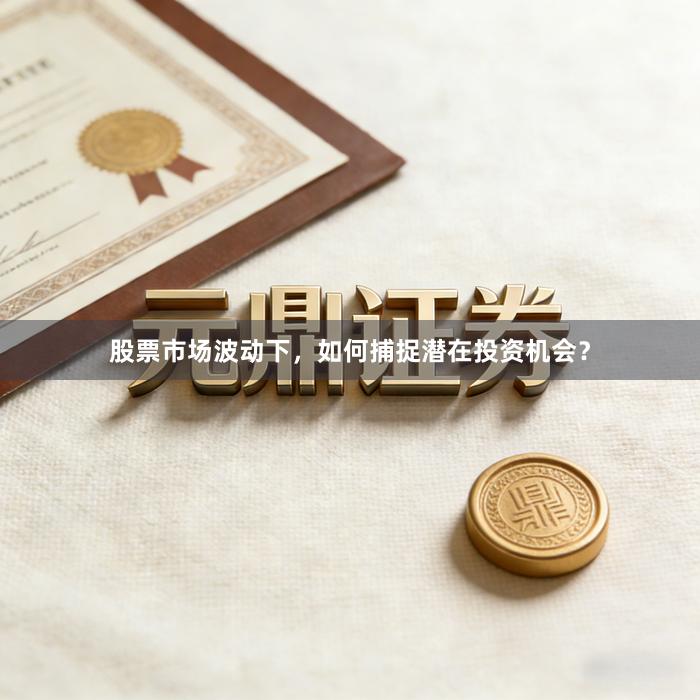股票市场波动下，如何捕捉潜在投资机会？