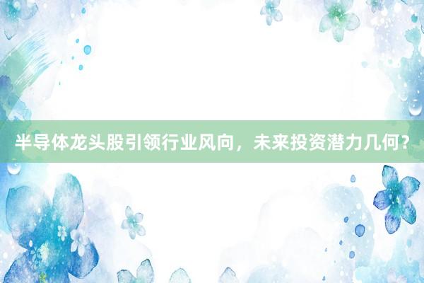 半导体龙头股引领行业风向，未来投资潜力几何？