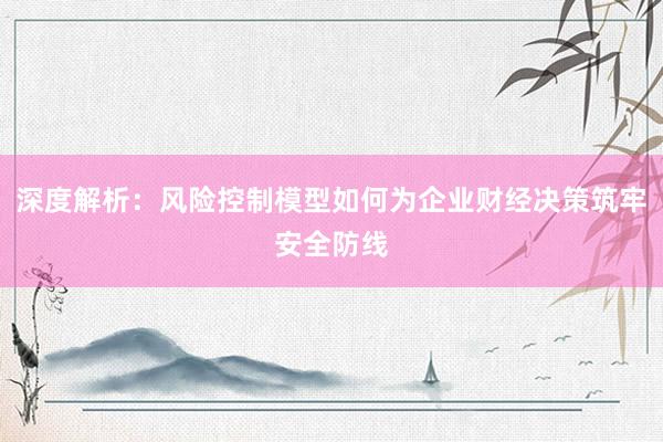 深度解析：风险控制模型如何为企业财经决策筑牢安全防线