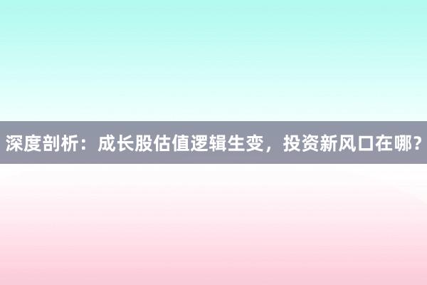 深度剖析：成长股估值逻辑生变，投资新风口在哪？