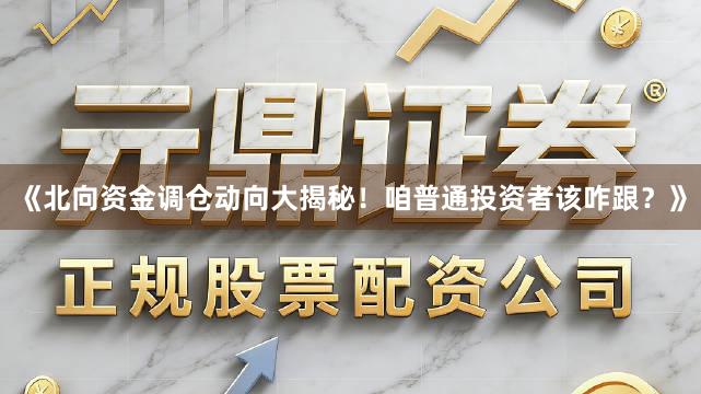 《北向资金调仓动向大揭秘！咱普通投资者该咋跟？》