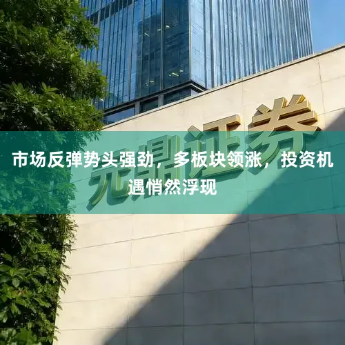 市场反弹势头强劲，多板块领涨，投资机遇悄然浮现