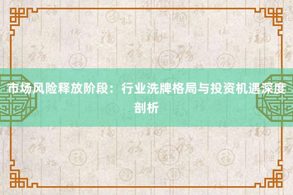 市场风险释放阶段：行业洗牌格局与投资机遇深度剖析
