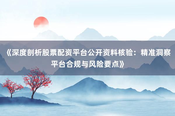 《深度剖析股票配资平台公开资料核验：精准洞察平台合规与风险要点》